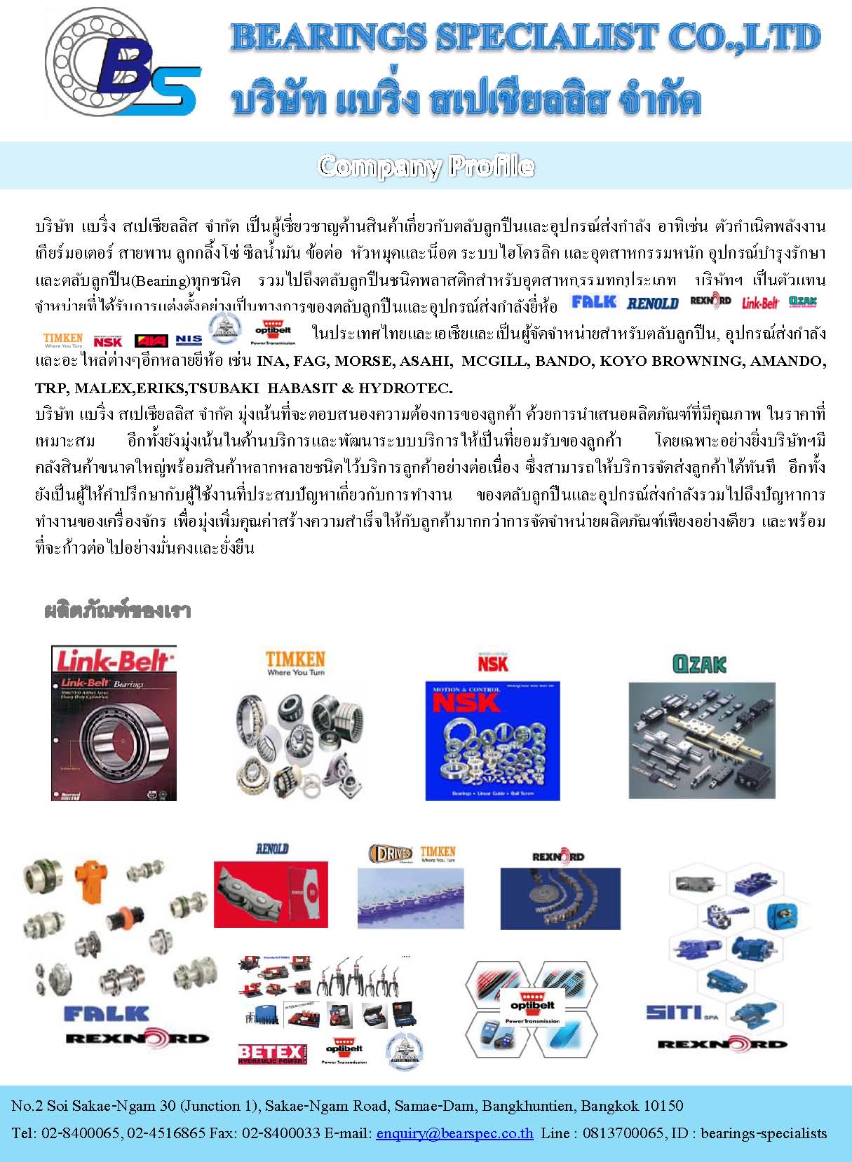Bs company 1 page