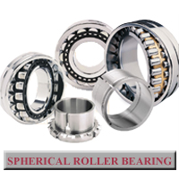 SPHERICAL ROLLER BEARING