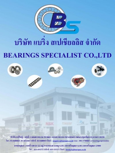 BS Company profile
